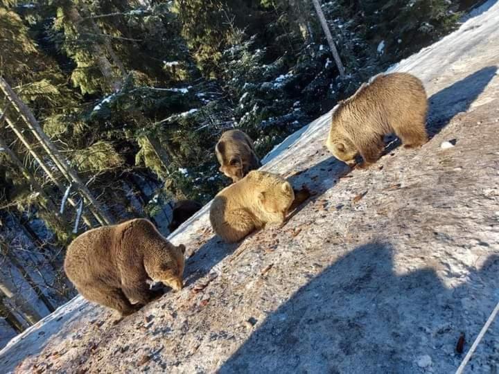 Готель Людмила سينفير المظهر الخارجي الصورة