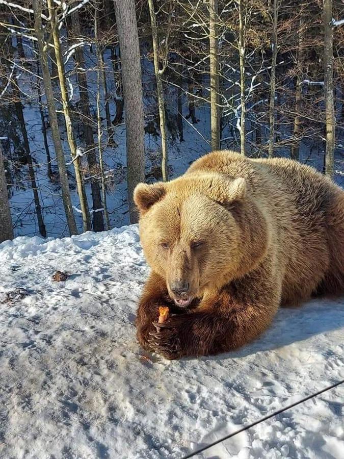Готель Людмила سينفير المظهر الخارجي الصورة