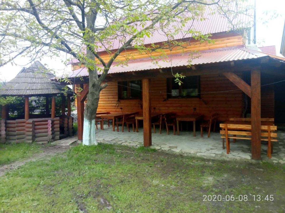 Готель Людмила سينفير المظهر الخارجي الصورة
