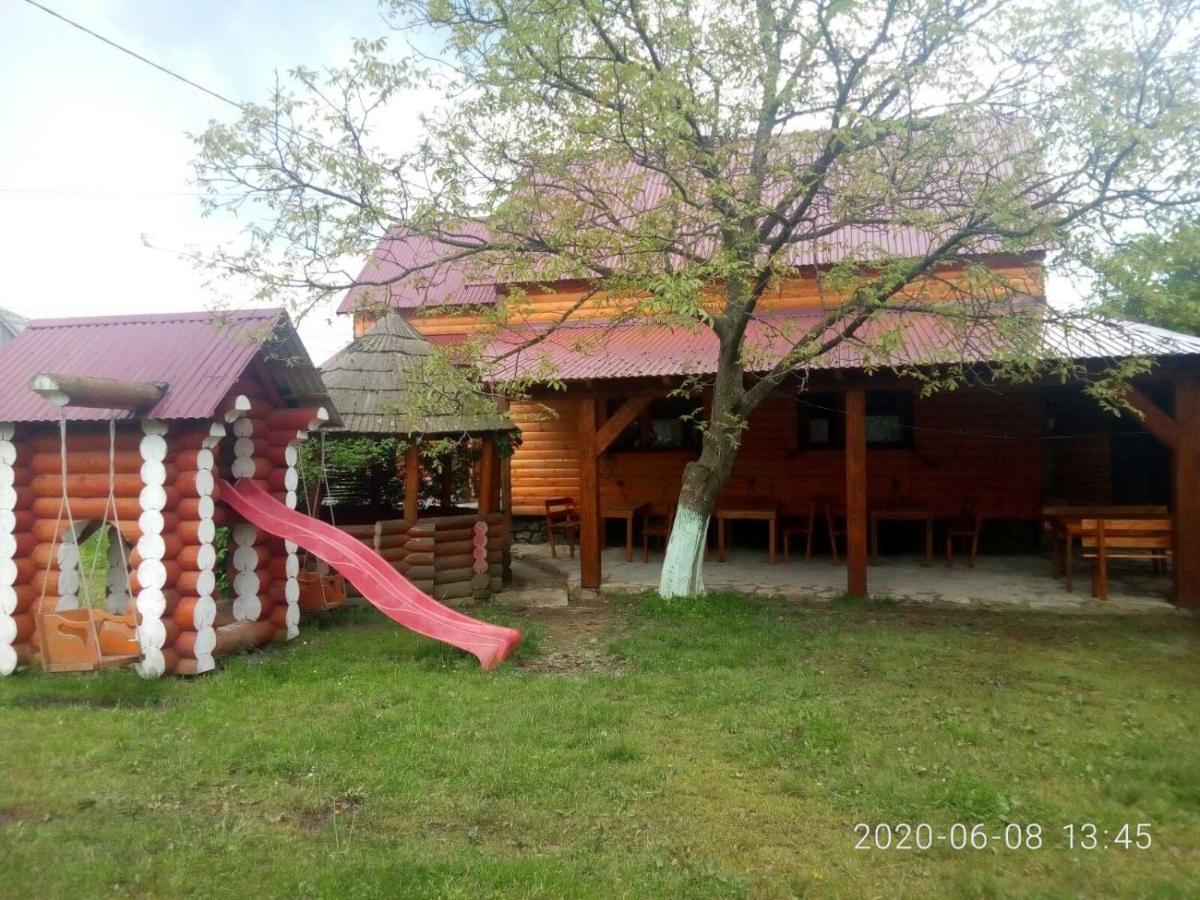 Готель Людмила سينفير المظهر الخارجي الصورة